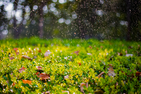 秋雨的句子简短唯美