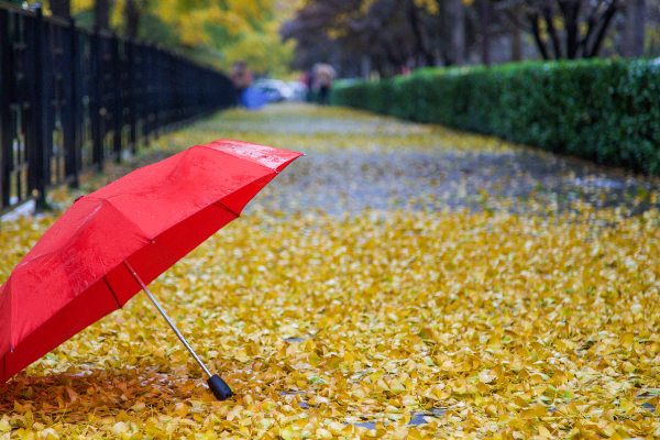 秋雨的句子简短唯美