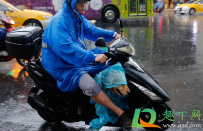 雨衣洗后不防水了怎么办