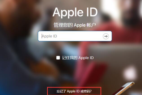 为什么登录不了apple ID