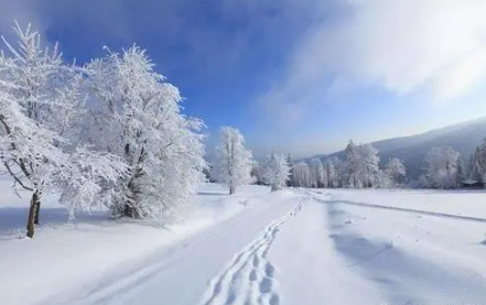 全国现在有哪些地方下雪了11月