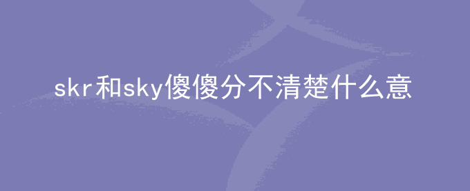 skr和sky傻傻分不清楚什么意思