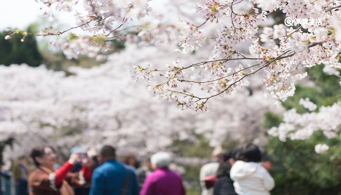 湖州市春季赏花去哪里 推荐湖州市春季赏花好去处