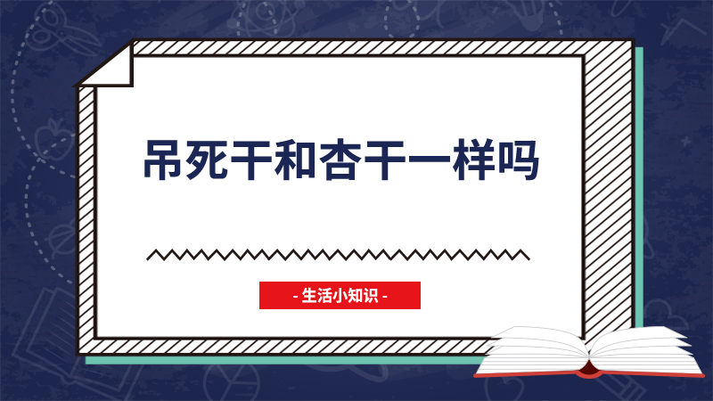 吊死干和杏干一样吗