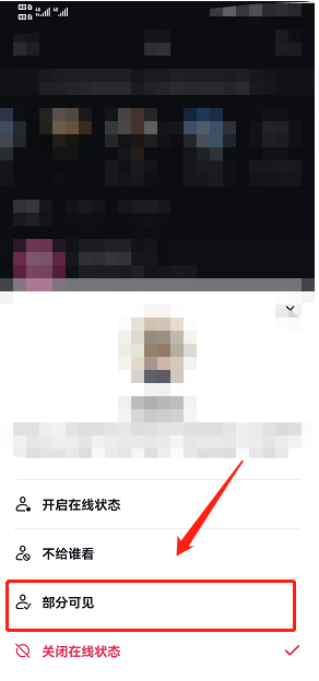 抖音在线状态怎么部分人可见