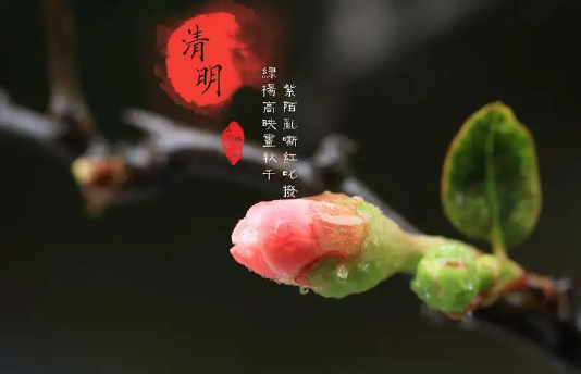 清明节上坟分上下午吗