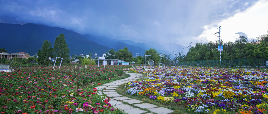 花路是什么意思