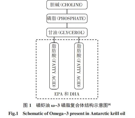 人与血管同寿！善用“血管清道夫”，畅通血管护心脑，血管比您更年轻！