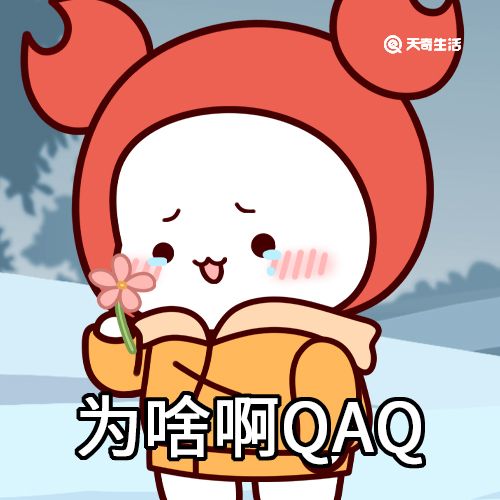 qaq是什么梗