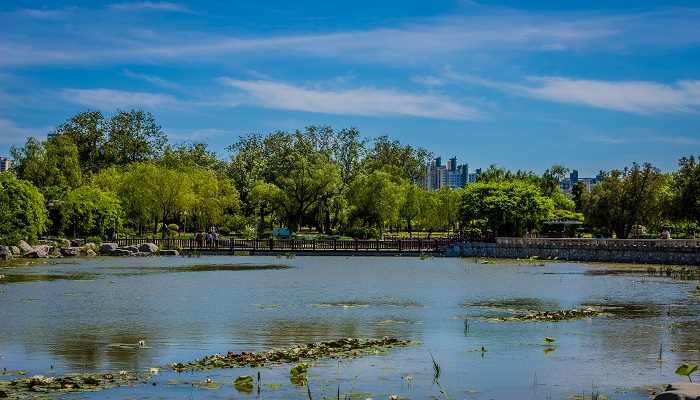 河间市属于哪个市