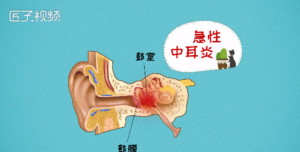 为什么耳朵会痛