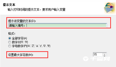 NiceLabel怎么批量打印标签