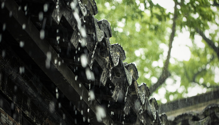 梅雨出现在什么地区