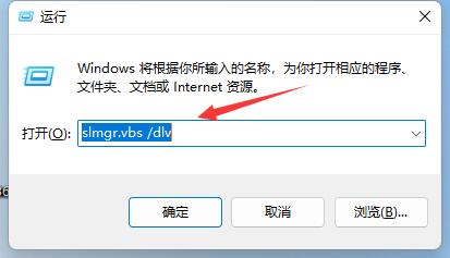 Win11查看激活信息教程