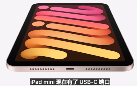 ipadmini6充电口是什么样的