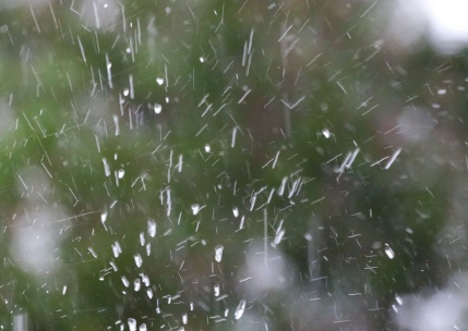 为什么今年夏天内蒙古总下雨2021