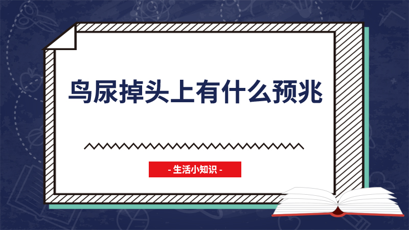 鸟尿掉头上有什么预兆