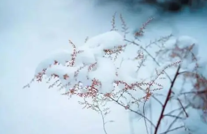 大雪节气会下雪吗