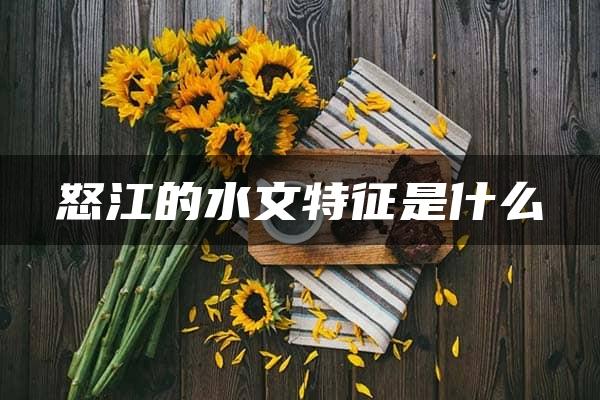 怒江的水文特征是什么