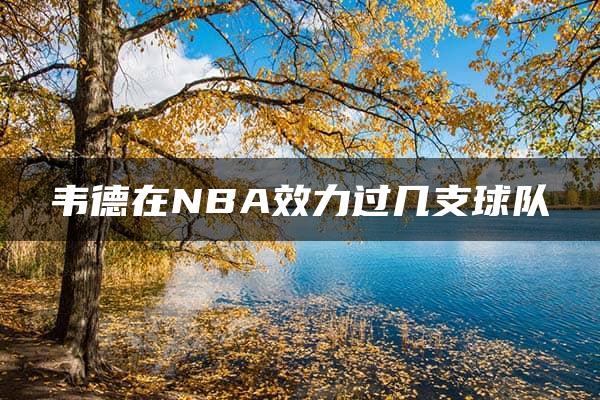 韦德在NBA效力过几支球队