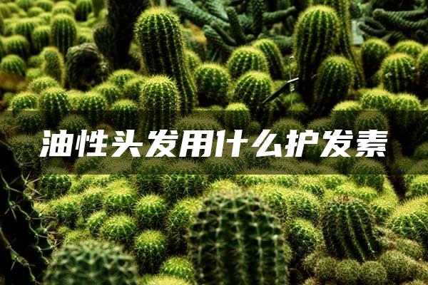 油性头发用什么护发素