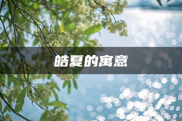 皓夏的寓意