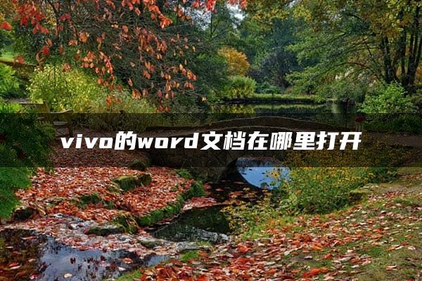 vivo的word文档在哪里打开