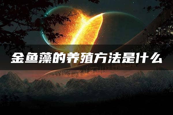 金鱼藻的养殖方法是什么