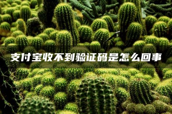 支付宝收不到验证码是怎么回事