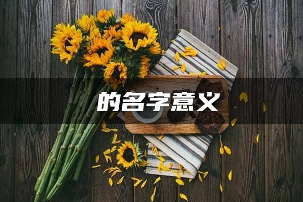 晧的名字意义