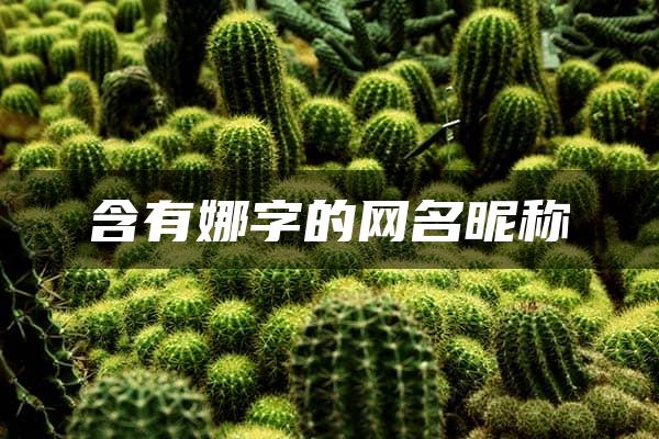 含有娜字的网名昵称