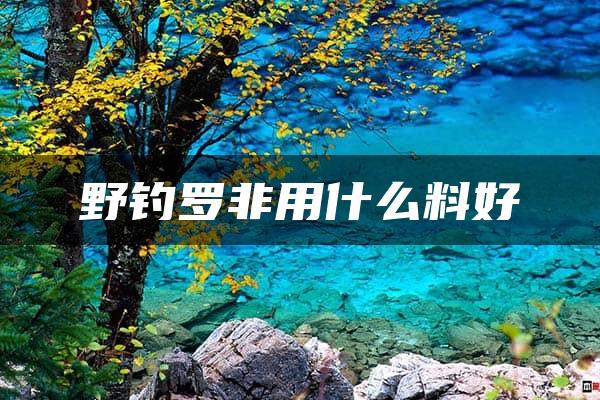 野钓罗非用什么料好