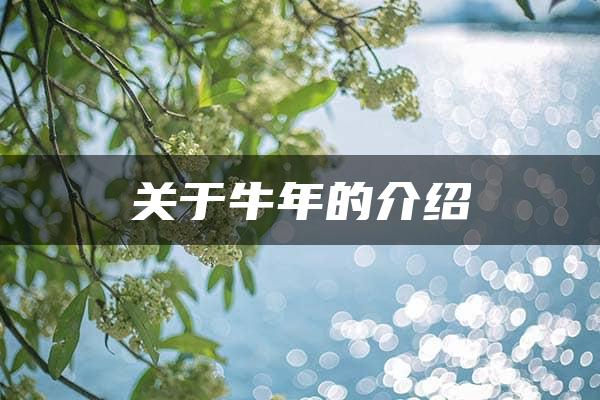 关于牛年的介绍