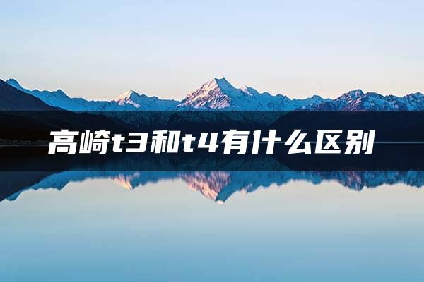 高崎t3和t4有什么区别