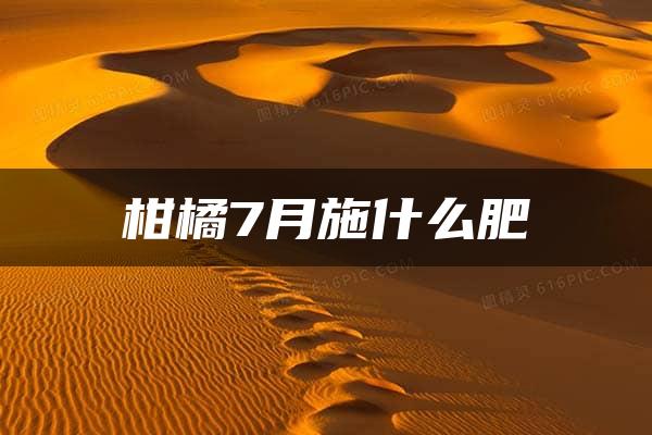 柑橘7月施什么肥