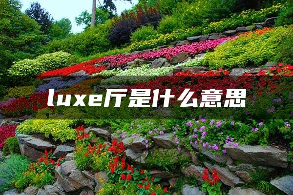 luxe厅是什么意思