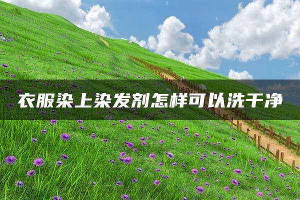 衣服染上染发剂怎样可以洗干净