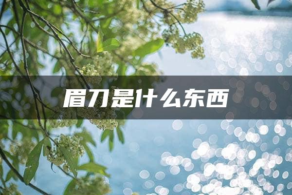 眉刀是什么东西