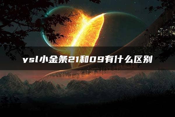 ysl小金条21和09有什么区别