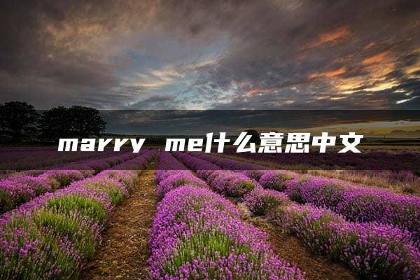 marry me什么意思中文