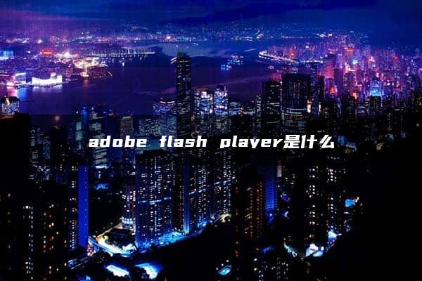 adobe flash player是什么