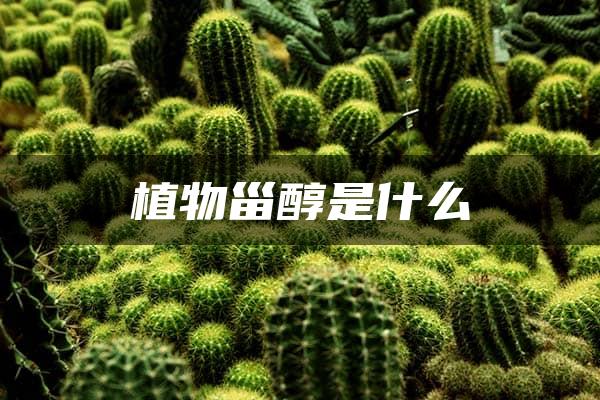 植物甾醇是什么