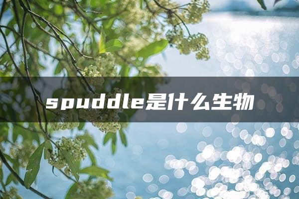 spuddle是什么生物