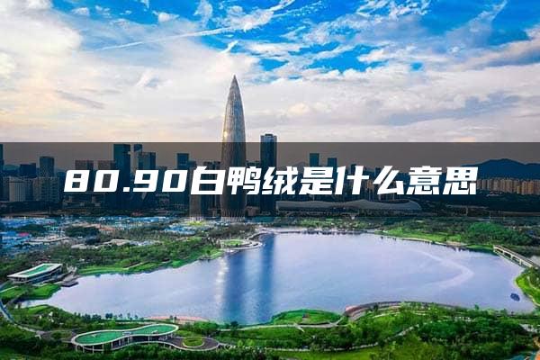 80.90白鸭绒是什么意思