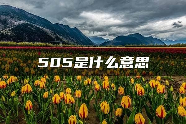 505是什么意思