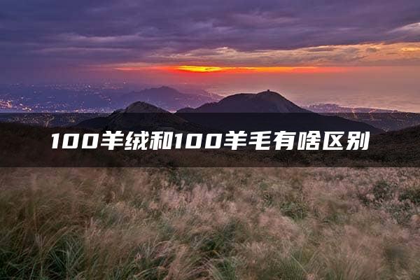 100羊绒和100羊毛有啥区别