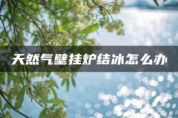 天然气壁挂炉结冰怎么办