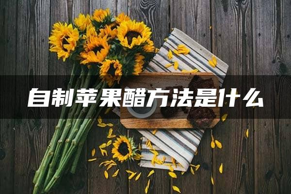 自制苹果醋方法是什么