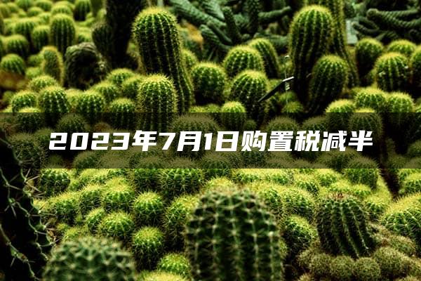 2023年7月1日购置税减半