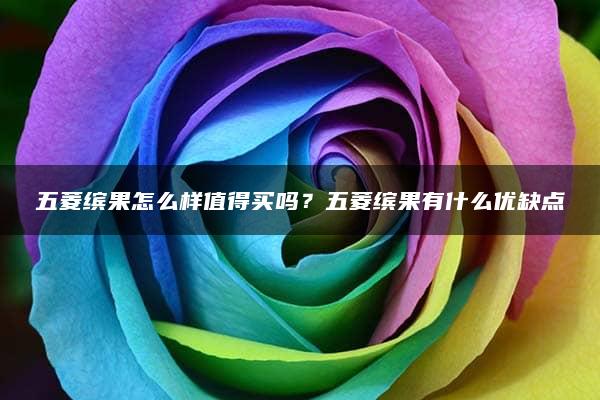 五菱缤果怎么样值得买吗？五菱缤果有什么优缺点